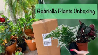 Gabriella Plants Unboxing