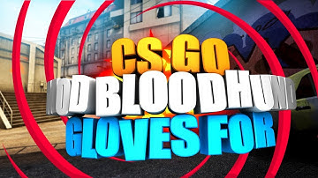 CS GO MOD BLOODHUND GLOVES FOR CSS V89