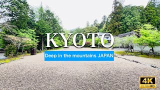 Green Oasis  The Beauty of Jingoji Temple in Early Summer|4K Japan travel video|