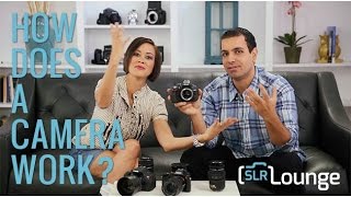 How Does a Camera Work? | Photography 101