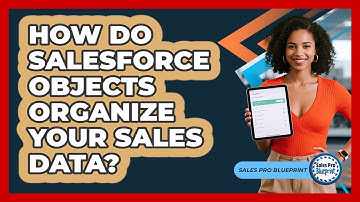 How Do Salesforce Objects Organize Your Sales Data? - Sales Pro Blueprint