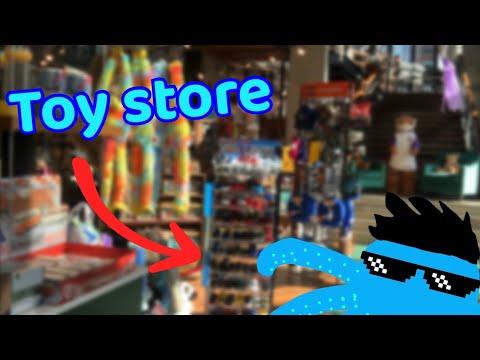 I went to the biggest toy store in my state!