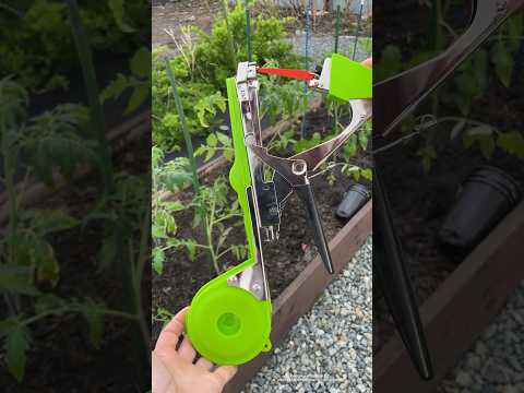 Видео: Как быстро подвязать растения!