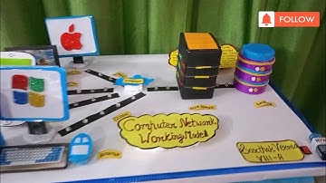 computer network working model - web server - client server #youtubevideo #viralvideo