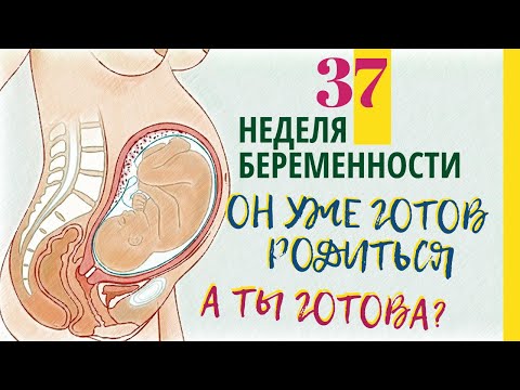 Как выглядит малыш в 37 недель беременности
