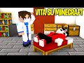 SONO FINITO IN OSPEDALE - Vita Su Minecraft Ep. 3