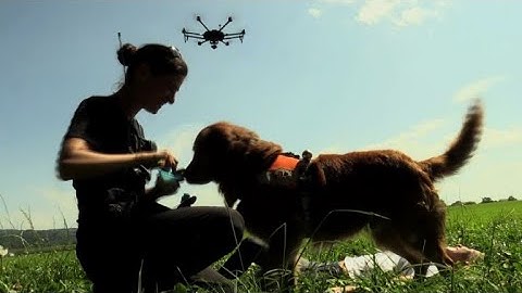 Swiss mountain rescue teams using drones and dogs together