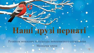 картинка: Відеозаняття з розвитку 