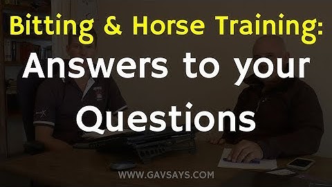 Answers to Your Questions - Bitting and Horse Training