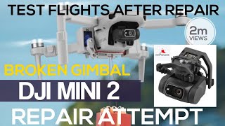 DJI Mini 2 Gimbal Assembly Replacement, Worth it? #djimini2 #dji #djiph #djimavicmini #djicamera
