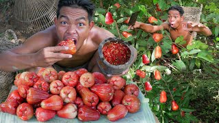 Experiencing the Thrill of foraging and Relishing Rose Apple in the Wilderness