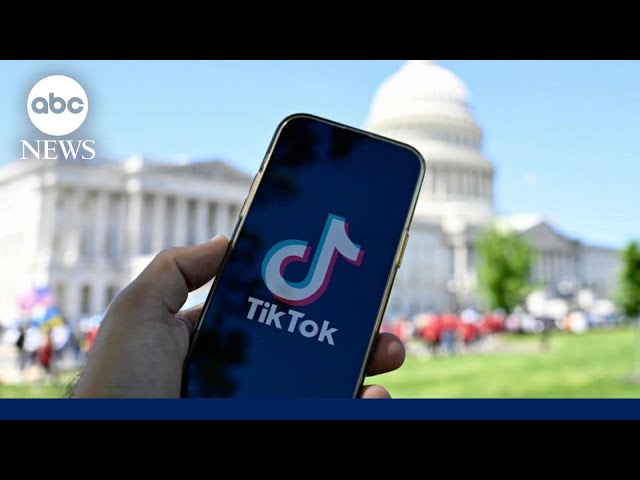 Creators file lawsuit in fight to save TikTok
