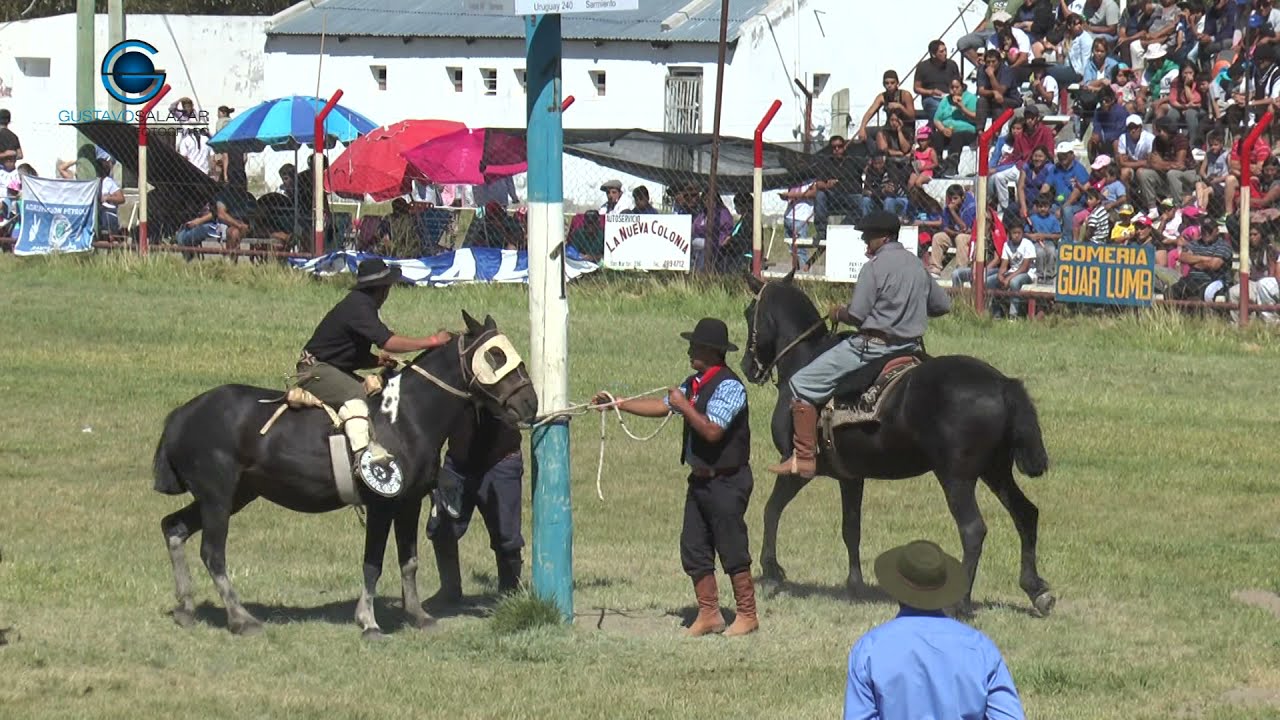 44º festival de doma y folklore - Sarmiento - Chubut 2017