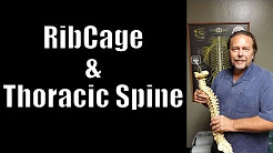 Rib Cage and Thoracic Spine: How Stress Kills, Scoliosis prevention and more!