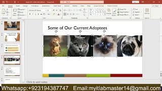 Exp22_PowerPoint_Ch03_HOE_Vet_Tech | Exp22 PowerPoint Ch03 HOE Vet Tech