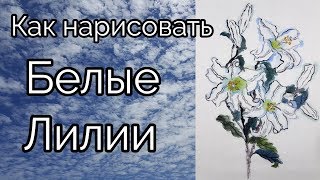 Как нарисовать Белые Лилии урок How to draw White Lily painting 백합꽃 그림 그리기 Как нарисовать Белые Лилии урок How to draw White Lily painting 백합꽃 그림 그리기