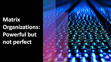 Matrix Organizations: Powerful but not perfect