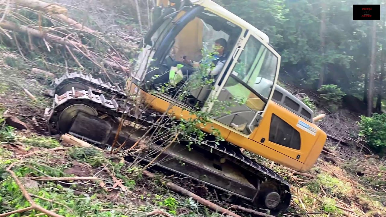 Shovel Logging mit Liebherr 924 2 [ DIESEL POWER ] YouTube