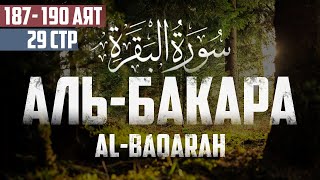 Cура аль Бакара 187 - 190 аят Абу Хабиба | Sourate al Baqarah | سورة البقرة