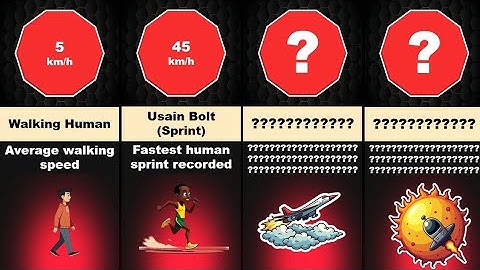 Race Simulation: Fastest Things In The Universe