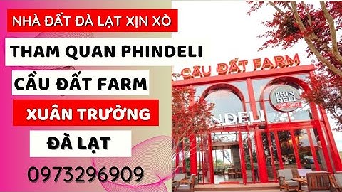 Tham Quan Phindeli Cầu Đất Farm, Ngắm View Điện Gió Đà Lạt