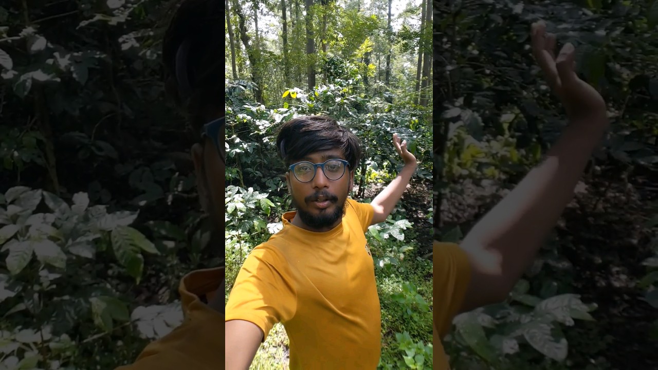 Coffee Farm near Forest| Yercaud |90s vlogger