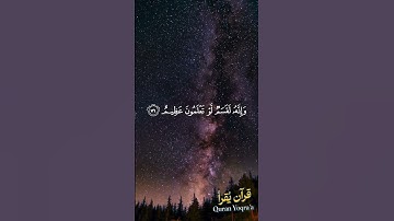 فلا أقسم بمواقع النجوم #سورة_الواقعة #القرآن_الكريم #سعد_الغامدي #اكسبلور#راحة_نفسية #لايك #تلاوات