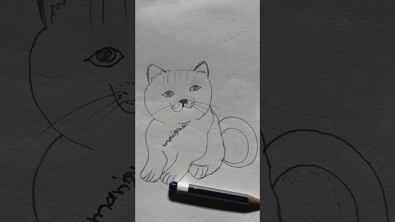 Very easy cat drawing 😺😀😺