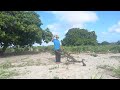 SENHOR COM 81 ANOS PLANTOU 8 HECTARES DE LAVOURA,CULTIVA E LIMPA DE ENCHADA SOZINHO.SÃO VICENTE PB.