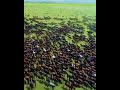 سبحان خالق الكون سبحان خالق الكون