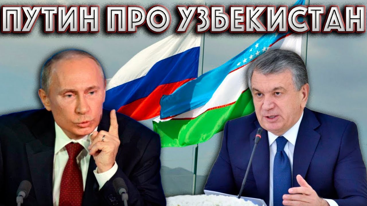 Лада владимир на рокадной