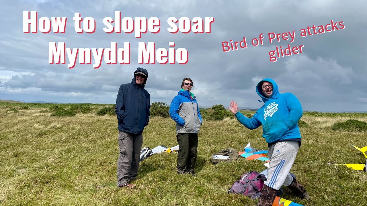 How to slope soar Mynydd Meio | Bird of Prey attacks glider