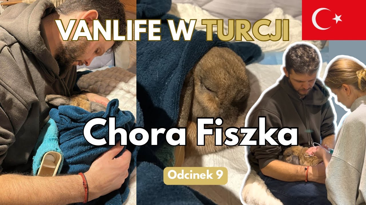 Chora Fiszka - skąd wiedzieć, że królik choruje? - Vanlife Turcja odc. 9