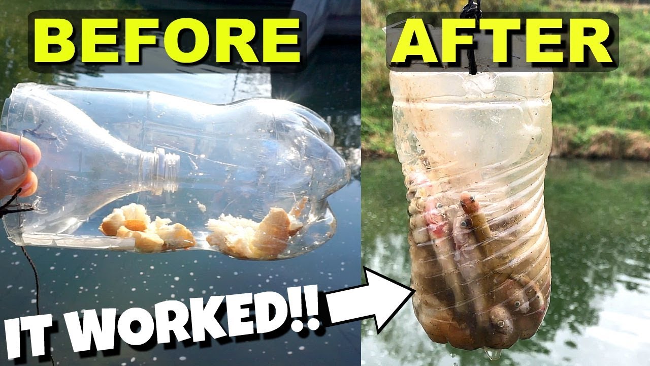 How to make a fish trap in seconds -- IT WORKED GREAT!! 