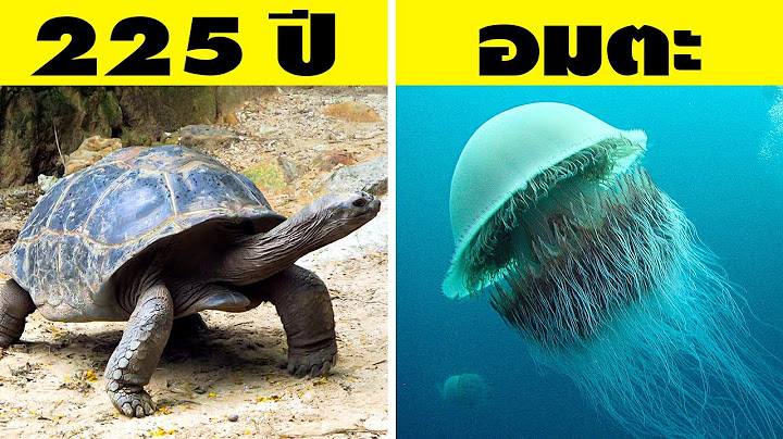 10 สิ่งมีชีวิตอายุยืนที่สุดในโลก (ไม่น่าเชื่อ)