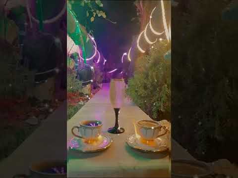 تامر حسني حالات واتس ستوريات مسيلي على الحبايب