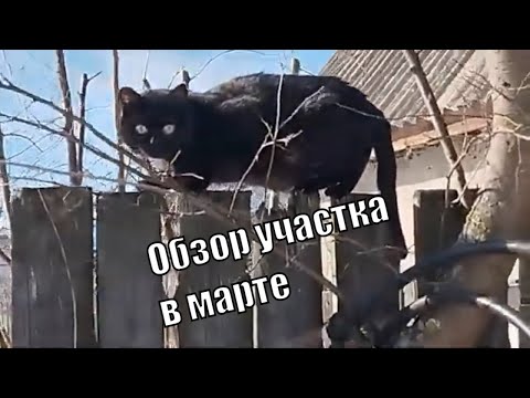Обзор теплицы и участка в марте. Посев руколы и редиса.