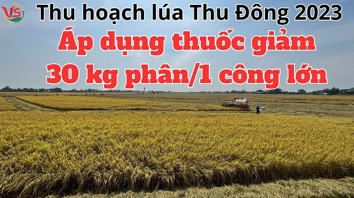 Từ bưa có nghĩa là gì năm 2024