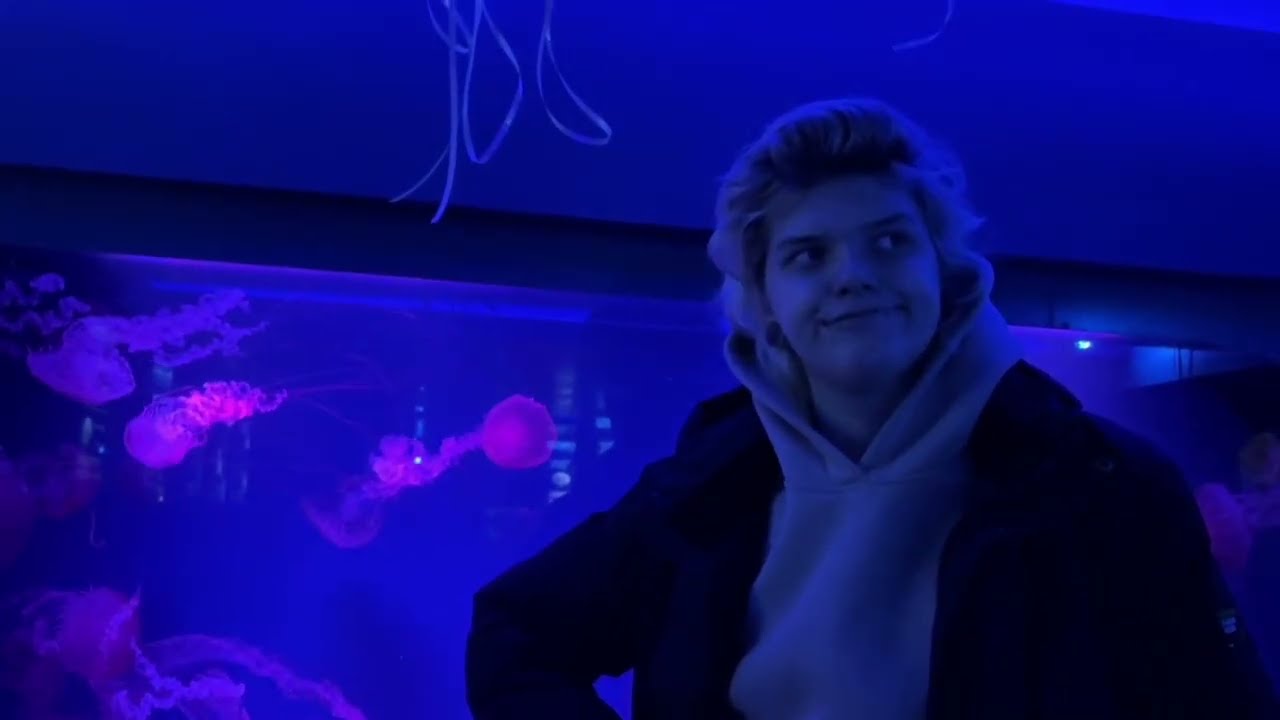 ВЫХОДНЫЕ ПОШЛИ НЕ ПО ПЛАНУ: МЕДУЗЫ, ЗОЛОТЫЕ ВОРОТА И ОЧЕНЬ СТРАННЫЙ ЛЕДЕНЕЦ КИЕВ 