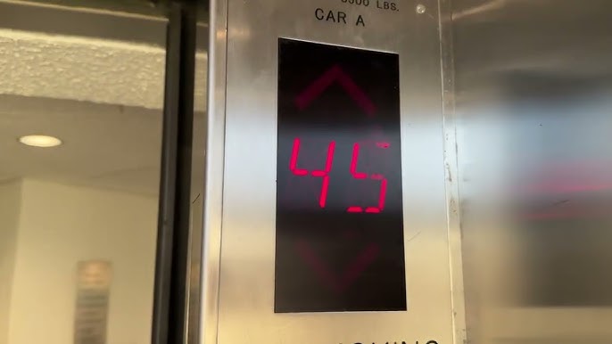 Sears Tower Elevator