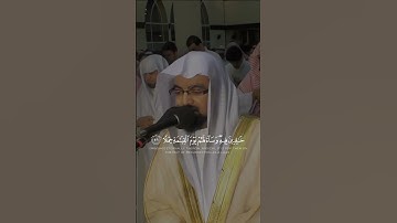 سورة طه بصوت القارئ الشيخ ناصر القطامي 🤍