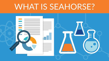 Data Science Hands on with Open source Tools - What is Seahorse