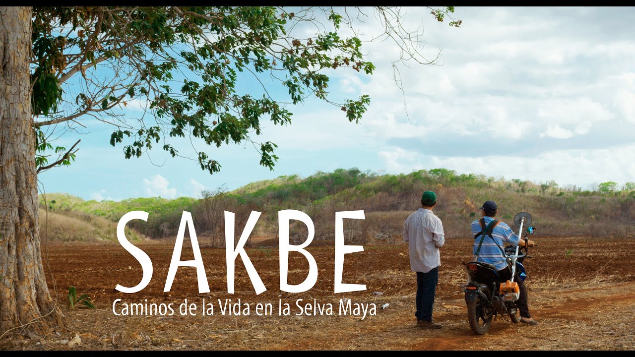 Sakbe - Caminos de la Vida en la Selva Maya