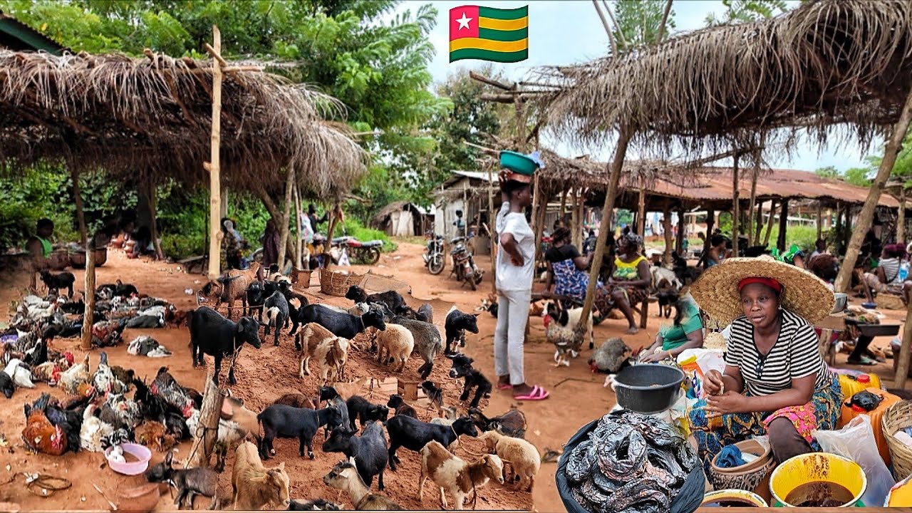 Исследуем крупнейший сельский рынок в Того, Западная Африка 🌍.