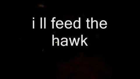 ghostbox talking about hawk reverse speech