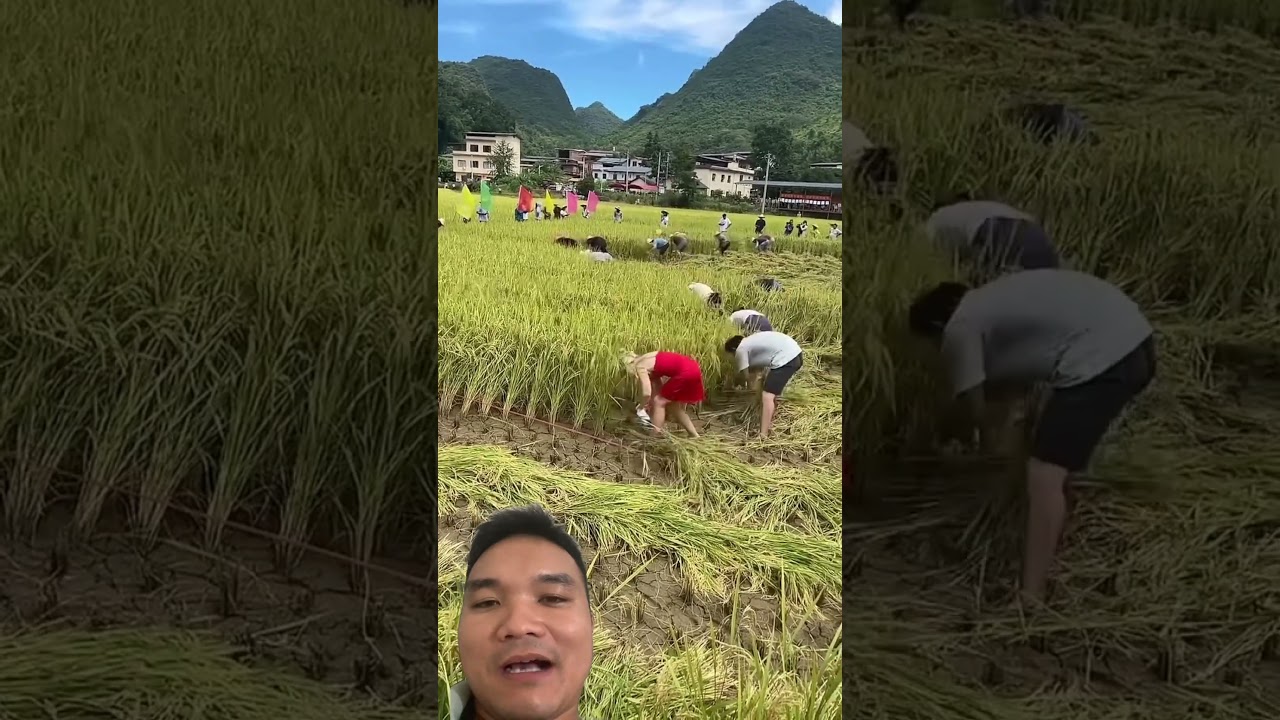 Du Lịch Sinh Thái Ở Việt Nam #travel