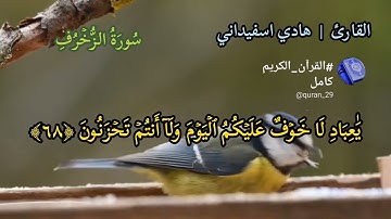 القارئ هادي اسفيداني أبدع في تلاوة ما تيسر من سورة الزخرف