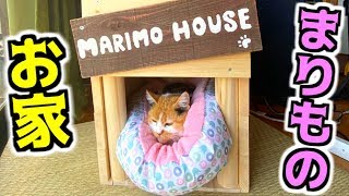 【猫小屋】まりもにお家作ってみた！