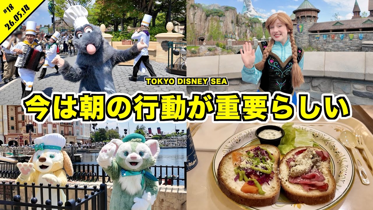 【VLOG】今パークは朝の行動が重要?開園待ちしてディズニーシーを大満喫!グリーティングやショーなど【混雑状況】