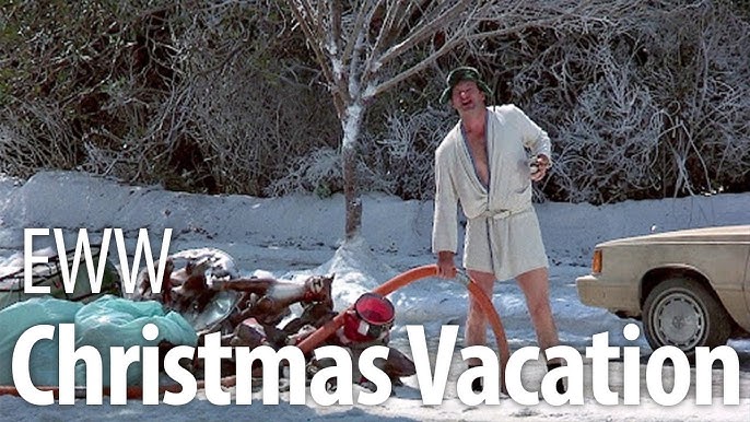 National Lampoon's Christmas Vacation 2: Cousin Eddie's Island